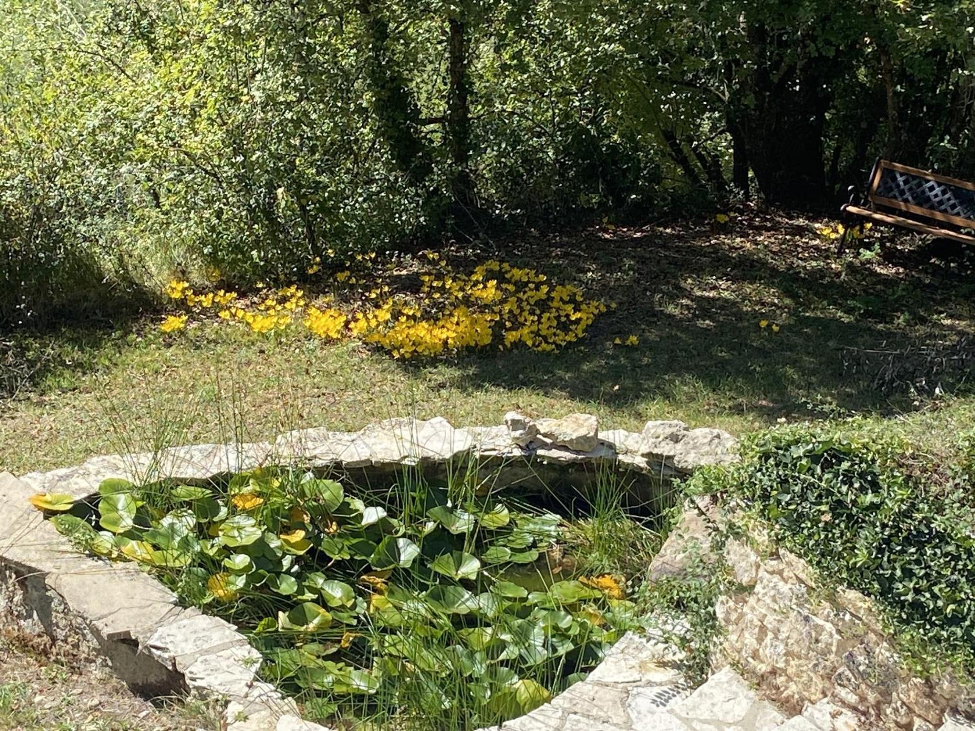 Le Manoir De St Marcel Villa Saint-Marcel-du-Périgord Værelse billede