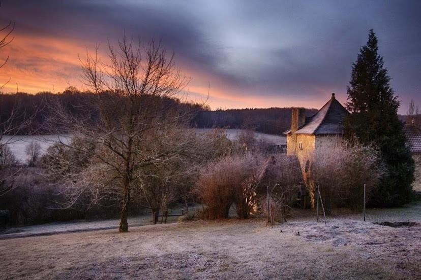 Le Manoir De St Marcel Villa Saint-Marcel-du-Périgord Værelse billede