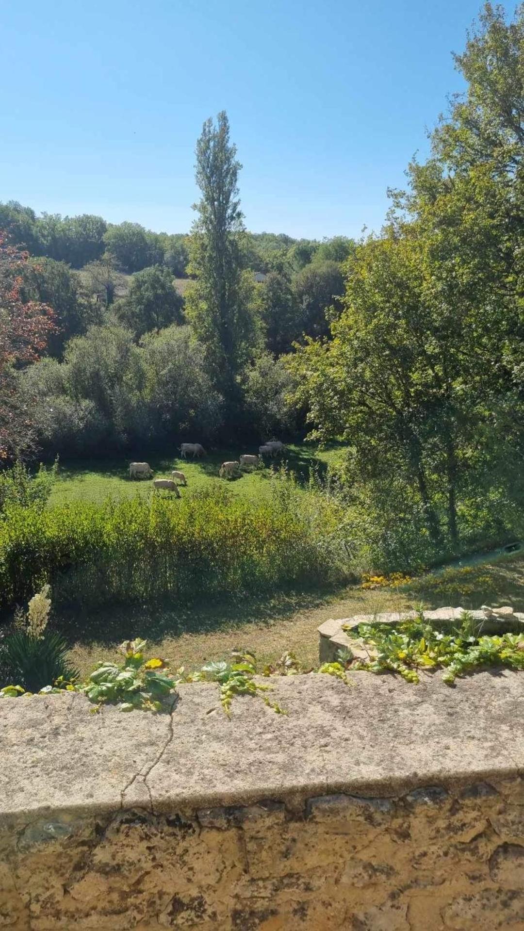 Le Manoir De St Marcel Villa Saint-Marcel-du-Périgord Værelse billede